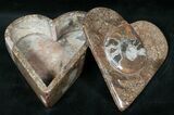 Fossil Goniatite Box (Heart) - Stoneware #12226-1